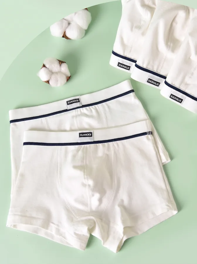 Boxer blanc