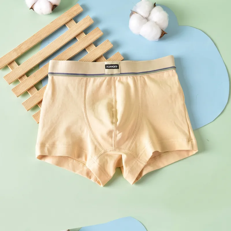 Boxer jaune clair